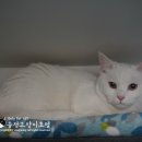 릴리호텔 이미지