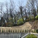 씨엘 | 대전 웨딩홀 밝은홀 씨엘드레브 시연회 솔직후기