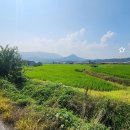 모화2리 이미지