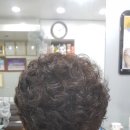 임마누엘헤어 이미지