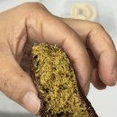 더노아하우스 이미지