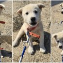 영일종합상사 이미지