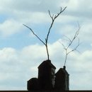 언덕위의 집 이미지