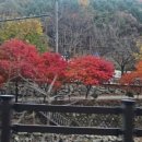 치악산한옥펜션 이미지