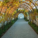 구립새솔어린이집 이미지