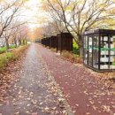 낙동제방길-1 이미지