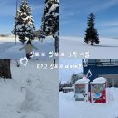 하이웨이정비 | 삿포로 3박 4일 여행 코스 추천 ep. 3 | 자매 여행 후기 / 비에이 / 여행한그릇 / 크리스마스나무...