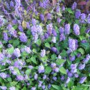 한재범 카카오 검색결과