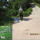 성안산 이미지