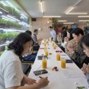 늘해랑농장 | [네트워크] 의제실천 네트워크 2025년 5월 15일(목) 후기