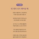 네 개의 뇌가 깨어날 때 이미지