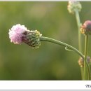 어느 날 오후 이미지