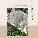 지혜의숲 | 혼자 vs 함께, 독서의 즐거움, 독서 모임 &#39;지혜의 숲&#39; 후기