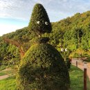 양화중학교 내 | 8월 10일 양화중학교 토익 후기