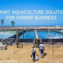 현대부화장 이미지