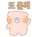 일단지시장돈까스