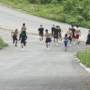 용인대SM복싱클럽 본관 네이버블로그