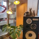 속초동경 이미지