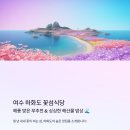 진전면 서대마을 마을회관 | 🏝️ 여수 하화도 꽃섬식당! 해풍 맞은 부추전 &amp; 싱싱한 해산물 밥상 🌊