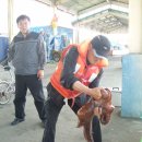 감나무 민박 이미지