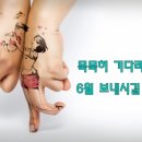 민락합기도 거호의인총본관 이미지