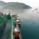 쌍근어촌체험휴양마을 이미지