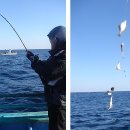 문암2리항 이미지