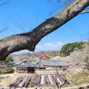 향교공원 | 논산 여행지 코스 갈만한곳 | 명재고택 노성향교 | 충남 가볼만한곳