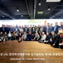 추사체1 Daum카페