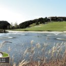 신원골프 이미지