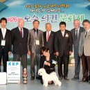 도그뉴스 .. DOGNEW'S'S YOU ARE THE ONLY ONE"플레이어" Inverness Florida Kennel Club 첫도그쇼 OS 이미지