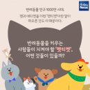 행복한산책 동물병원 이미지