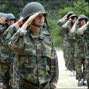 충성 이미지