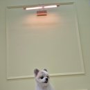 가위든개 이미지