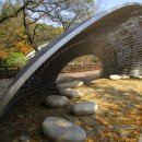 로맨스정자 이미지