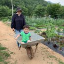 일 농장 이미지