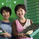 한라산쑥떡미당 이미지