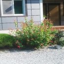 장태산 산그림펜션 이미지