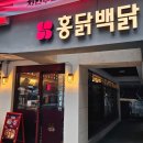 홍닭백닭