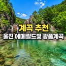 온정면사무소 | [공지] 계곡 추천 | 아이와 떠나는 울진 광품계곡 당일치기 캠핑 완벽 가이드