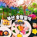 송원빌딩 | 남천동 송원일식 광안리 근처 주차 가능한 횟집 부산 점심특선 내돈내산 맛집