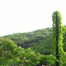 월평7호 이미지