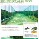 화지골프 이미지