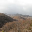 백운탕 이미지