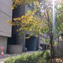 웨이프(WAYP) 이미지