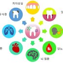 연세진정한치과 이미지