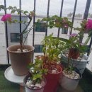 지성엔테크 이미지