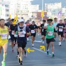 씨유 경주성건화랑점 | 2023 경주국제마라톤, 첫 하프 완주 후기