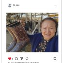 향림목장 이미지