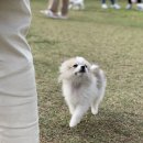 카페 MIMINKO 이미지